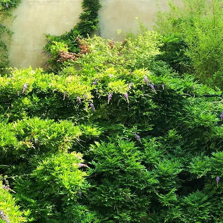 La Casa Degli Angeli Lejlighed Torino